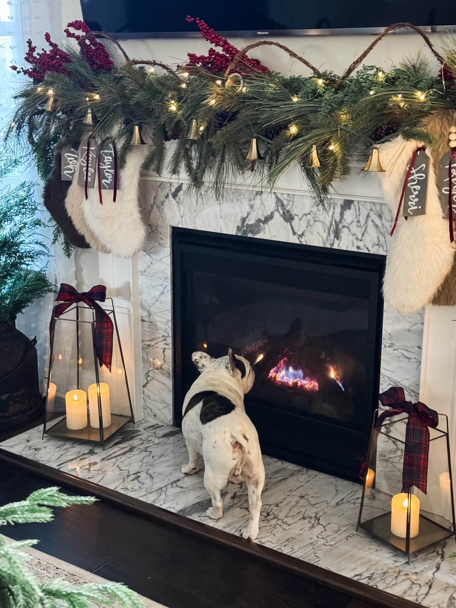 My Christmas Fireplace!! Puppy’s not for sale🤣

Garland, faux fur stockings, bell garland, ribbon, velvet ribbon, stocking name tags, brass lanterns, flameless candles, 
Grapevine garland, berry stems, cord bundlers, command hooks, twinkling lights 


#LTKHome #LTKHoliday #LTKSeasonal