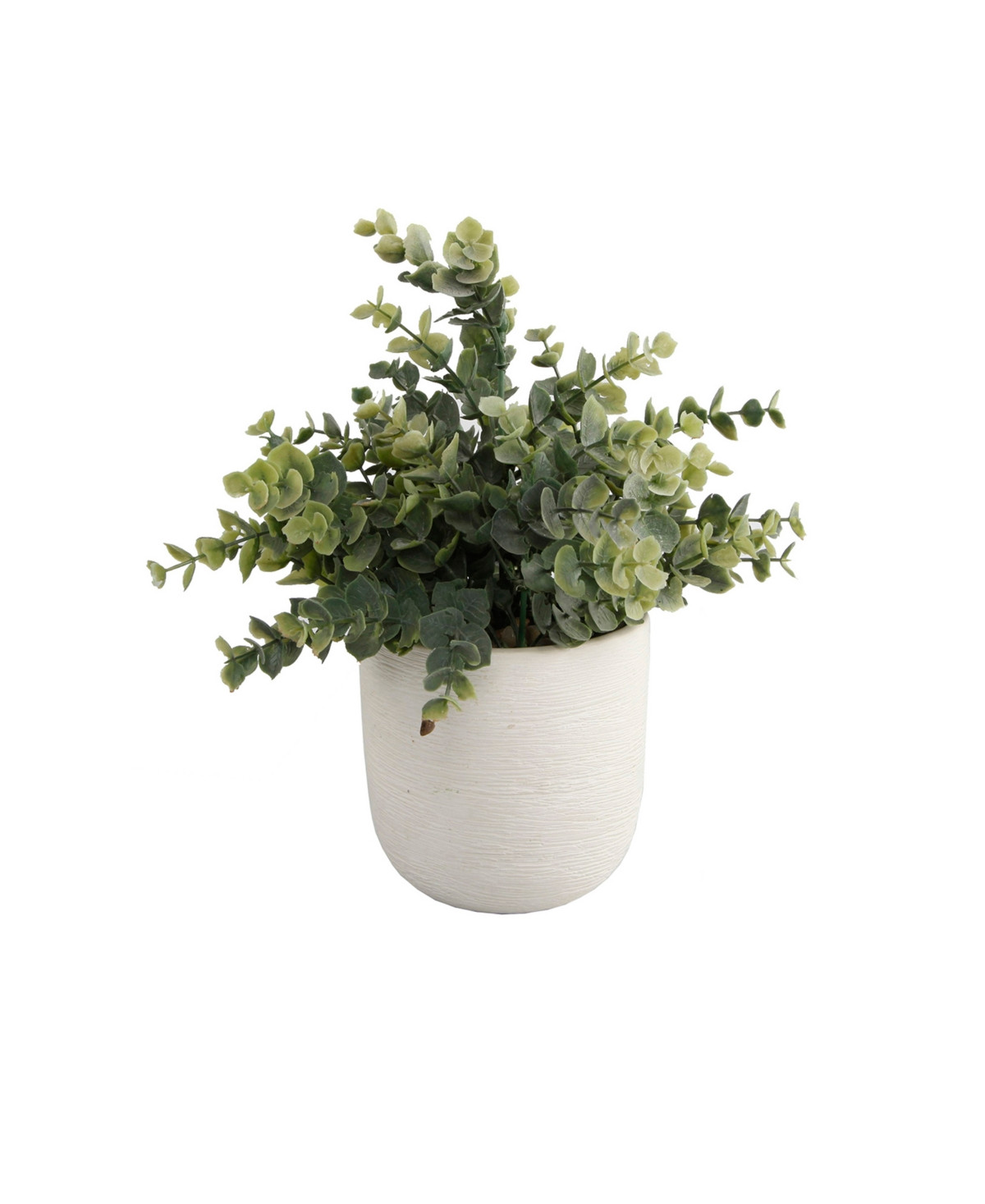 5.5" Artificial Eucalyptus in 4.5" Texture Ceramic Planter | Macys (US)