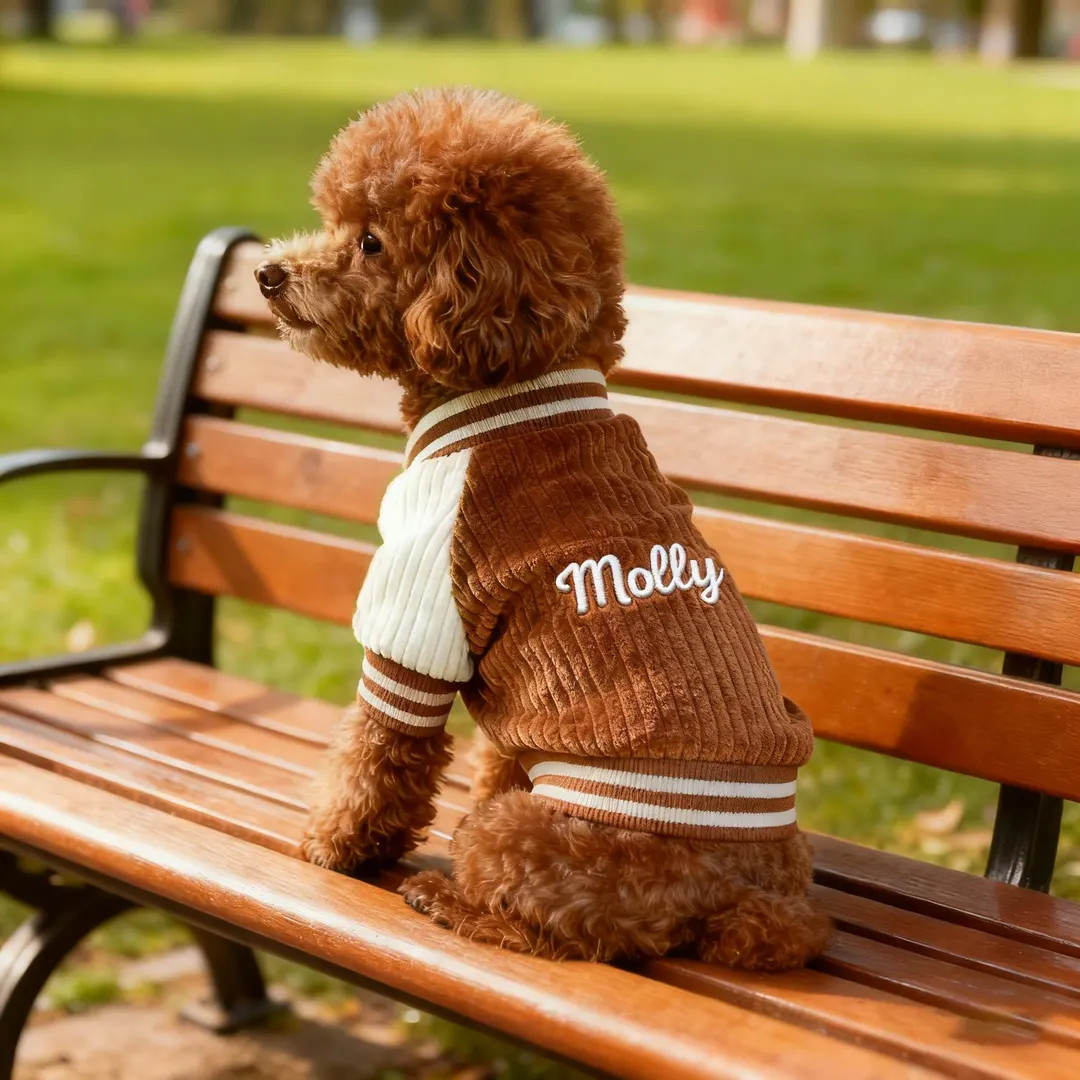 Personalized Dog Clothing: Embroidered Pet Name, Bright Puppy Baseball Jacket, Baseball Jacket - ... | Etsy (US)