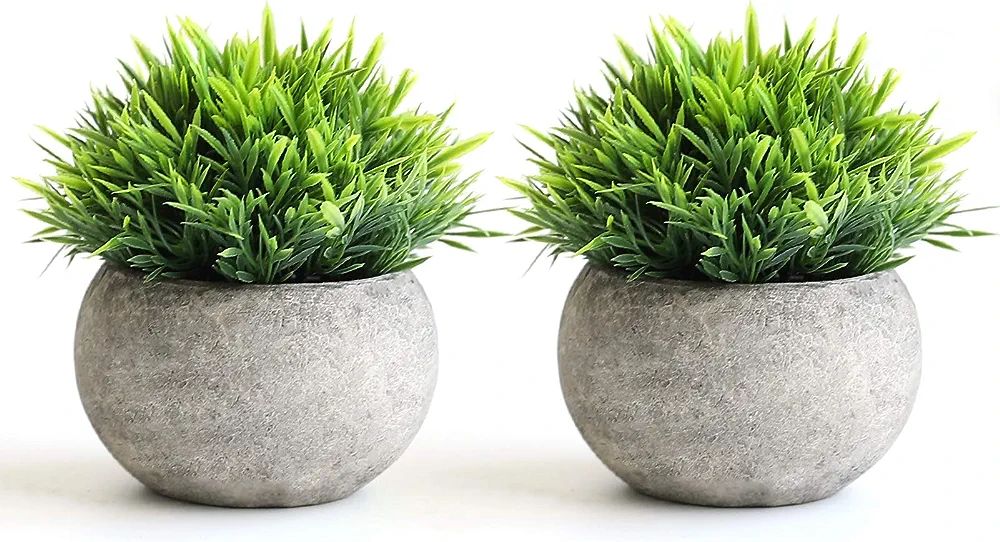 THE BLOOM TIMES 2 Pcs Fake Plants for Bathroom/Home Office Decor, Small Artificial Faux Greenery ... | Amazon (US)