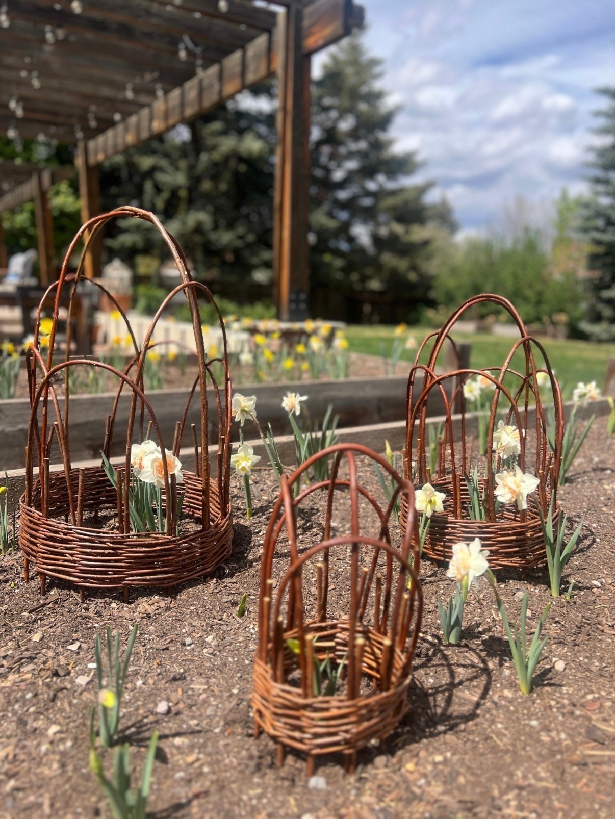 These willow cloches are too cute and come in handy with my garden beds!!

#LTKSaleAlert #LTKSeasonal #LTKHome
