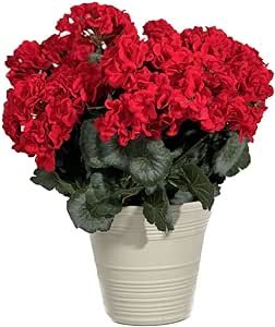 Vibrant Blooms: 18" Red Geranium Bush with 7 Silk Flower Sprays - 8" Wide | Realistic Indoor/Outd... | Amazon (US)