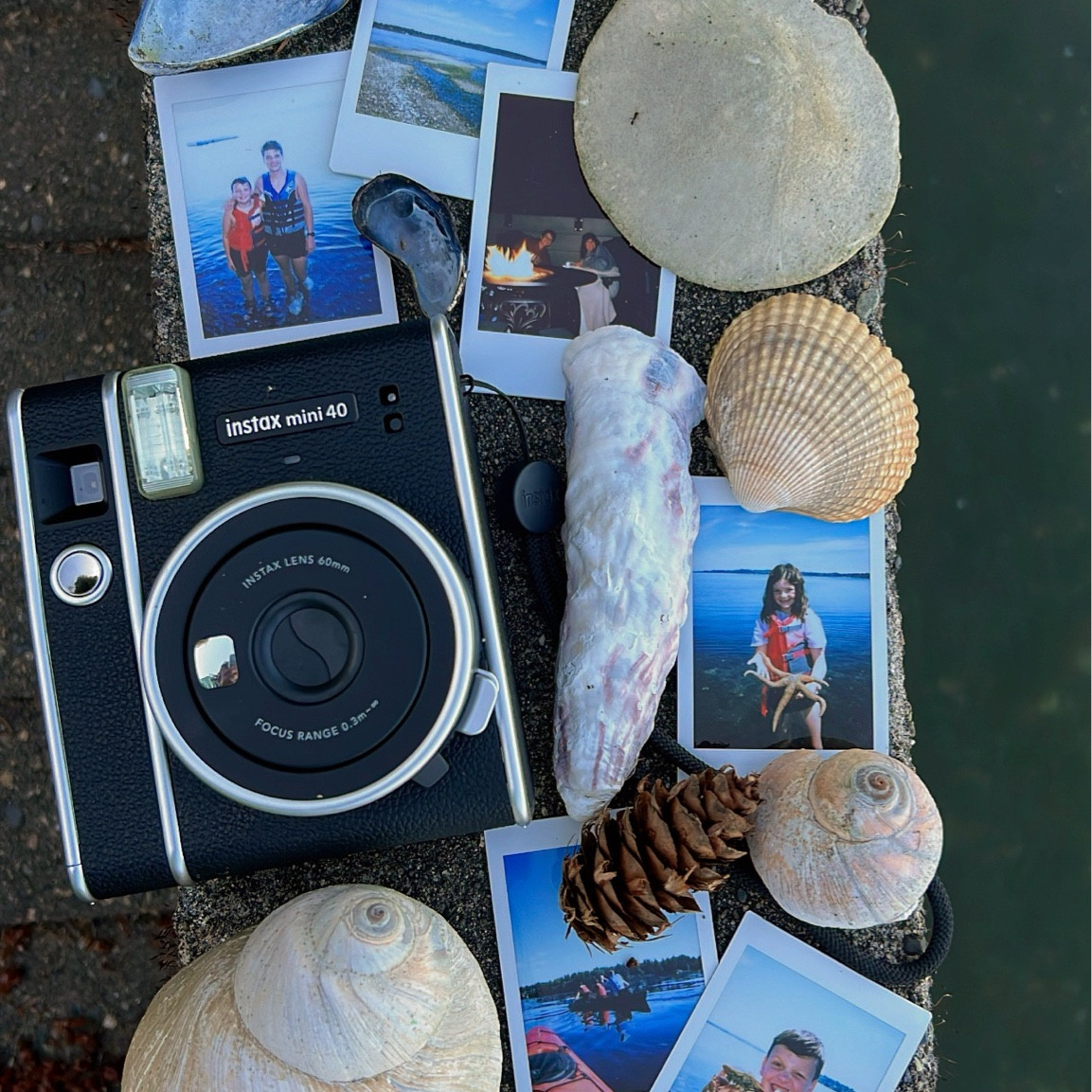 #walmartpartner We’ve been making the best memories this week in Washington and have had so much fun capturing everything on this super fun camera. I ordered it on Walmart and had it delivered to the house! The pics are nostalgic and special and I love them so much! 
