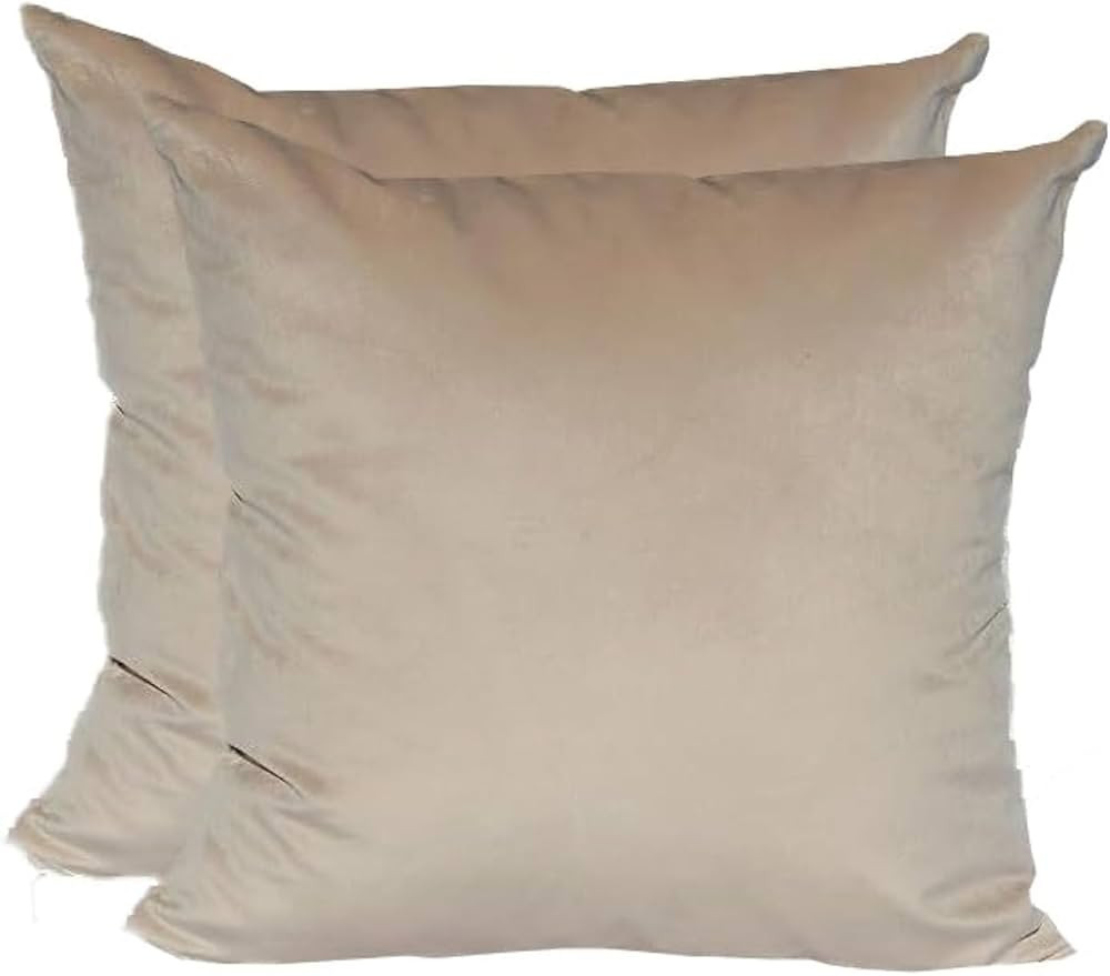 TangDepot Pack of 2 Solid Velvet Throw Pillow Covers, Cushion Shams, Super Luxury Soft Pillow Cas... | Amazon (US)