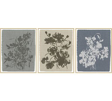Crocus in Sky, Hellebore in Lake, & Poppy in Linen by Kelly Ventura | Pottery Barn (US)