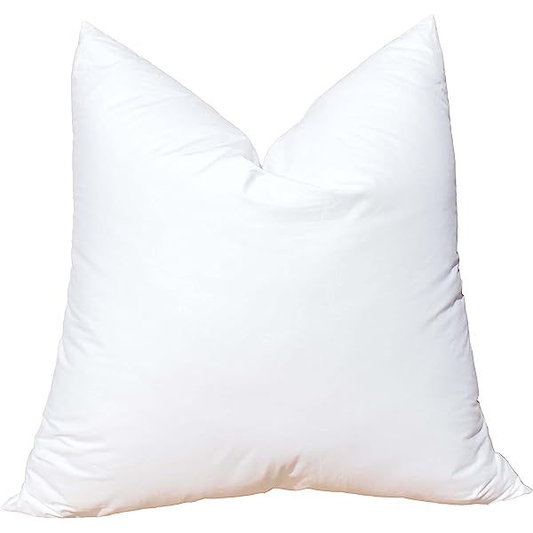 24x24 Euro Throw Pillow Inserts-Down Feather Pillow Inserts-Cotton Fabric-Set of 2-White | Amazon (US)