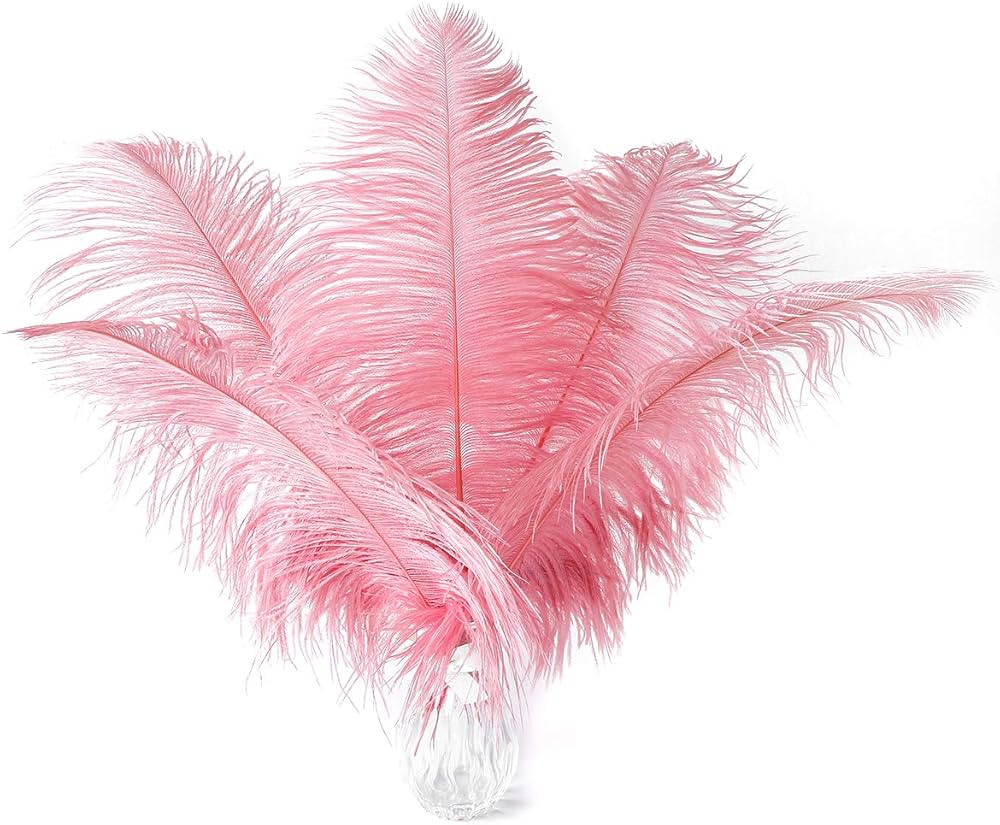 24pcs Natural Lotus Pink Ostrich Feathers 10-12inch (25-30cm) for Wedding Party Centerpieces，Fl... | Amazon (US)