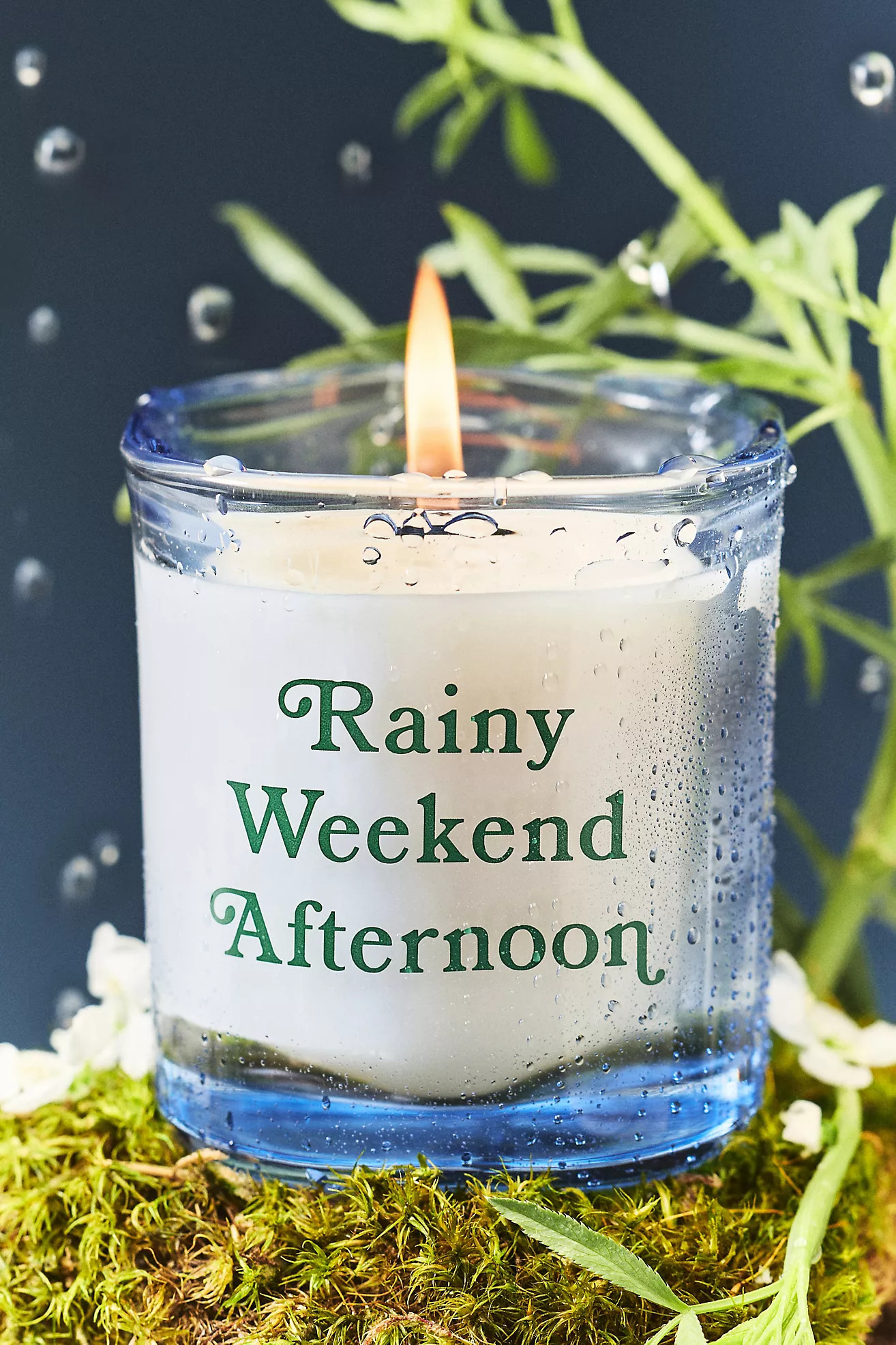 Book Boxed Fresh Spring Rain & Bright Bergamot Glass Candle | Anthropologie (US)
