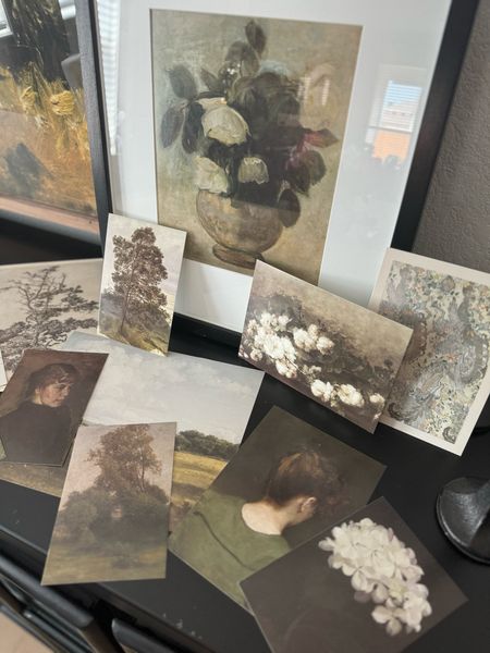 No need to buy digital prints when they come printed already! $10 for the set!

AMAZON Vintage Wall Art Prints - French Country Decor, Vintage Pictures Antique French Posters, Gallery Wall Prints Moody Vintage Decor for Bedroom, Botanical Nature Painting 



#LTKhome