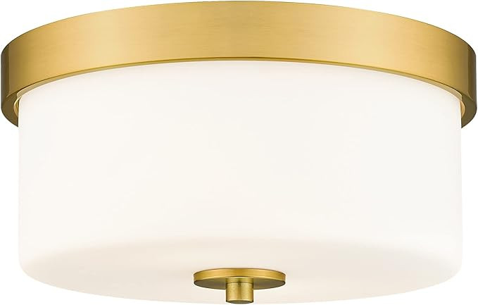 Emak 11 Inch Brushed Gold Flush Mount Ceiling Light Fixture, 2-Light Fixtures Ceiling Mount with ... | Amazon (US)