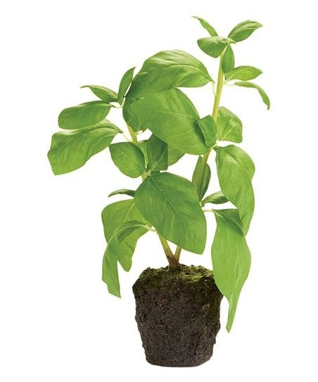 9'' Faux Basil | Zulily