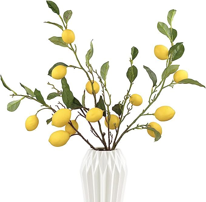 Rinlong Artificial Lemon Branches for Kitchen Party Decoration Yellow Lemon Decor Fruit Branches ... | Amazon (US)