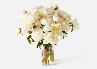 Double The Peony Clouds | UrbanStems