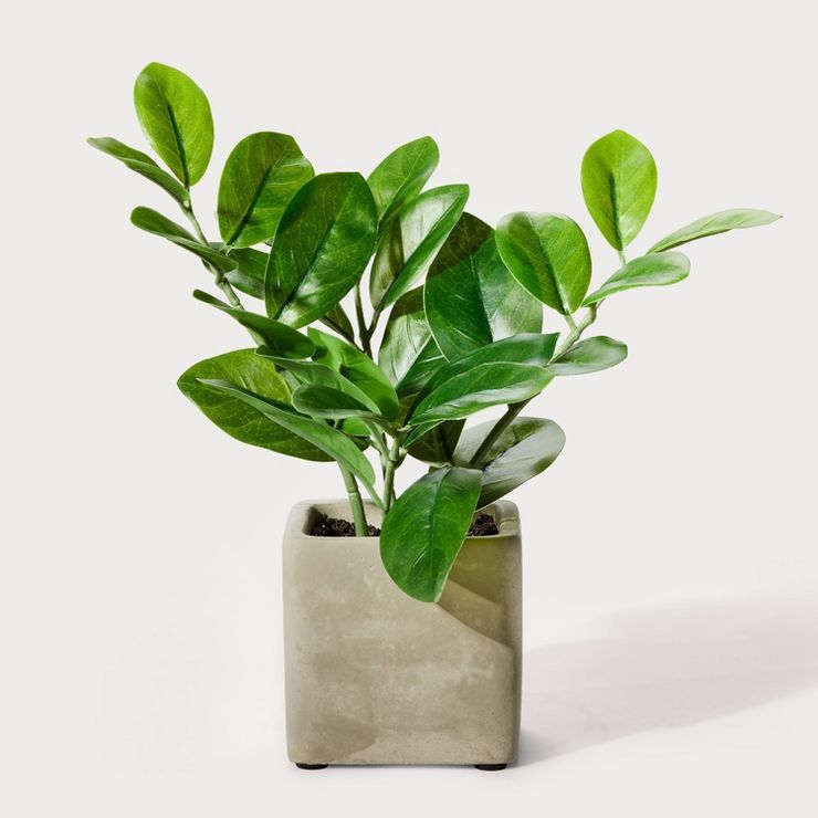 9" Small Artificial ZZ Plant - Hilton Carter for Target | Target