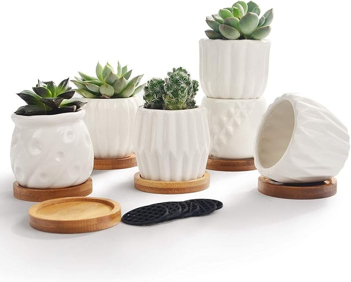 B SEPOR Set of 6 White Simple Porcelain Planters for Small Plant Pots Baby Succulent Cactus with ... | Amazon (US)