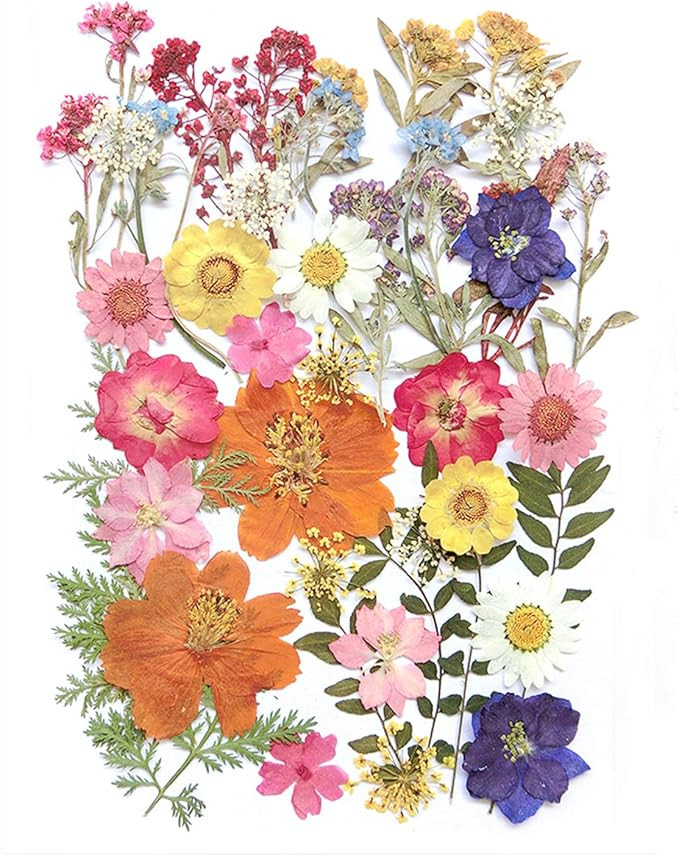 17 Types 48PCS Real Dried Pressed Flowers Leaf Plant Herbarium for DIY Resin Jewelry Making Flora... | Amazon (US)
