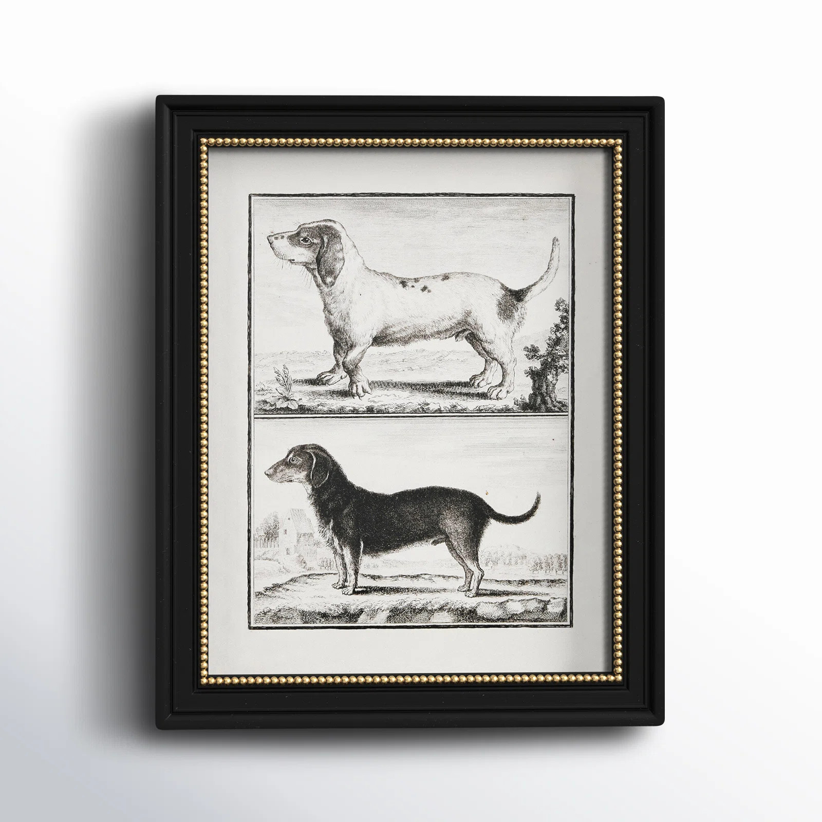 Twyla " Vintage Reproduction Dog " | Wayfair North America