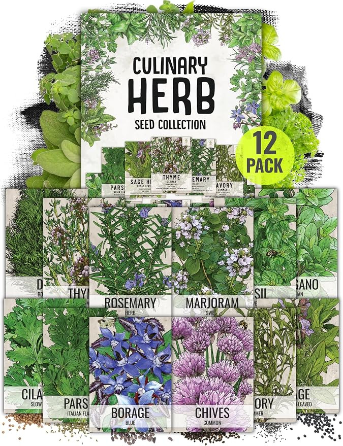 Seed Needs Herb Seeds Variety Pack Culinary Herb Collection (12 Individual Packets for Planting I... | Amazon (US)