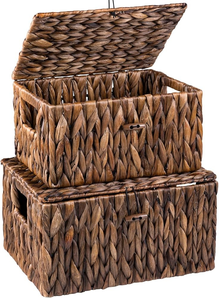 FairyHaus Brown Wicker Storage Basket with Lid & Handle 2Pack, Natural Water Hyacinth Basket for ... | Amazon (US)