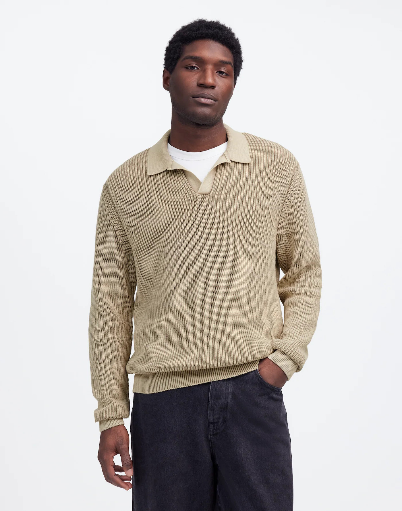 Cotton Shaker Stitch Johnny-Collar Sweater Polo | Madewell | Madewell