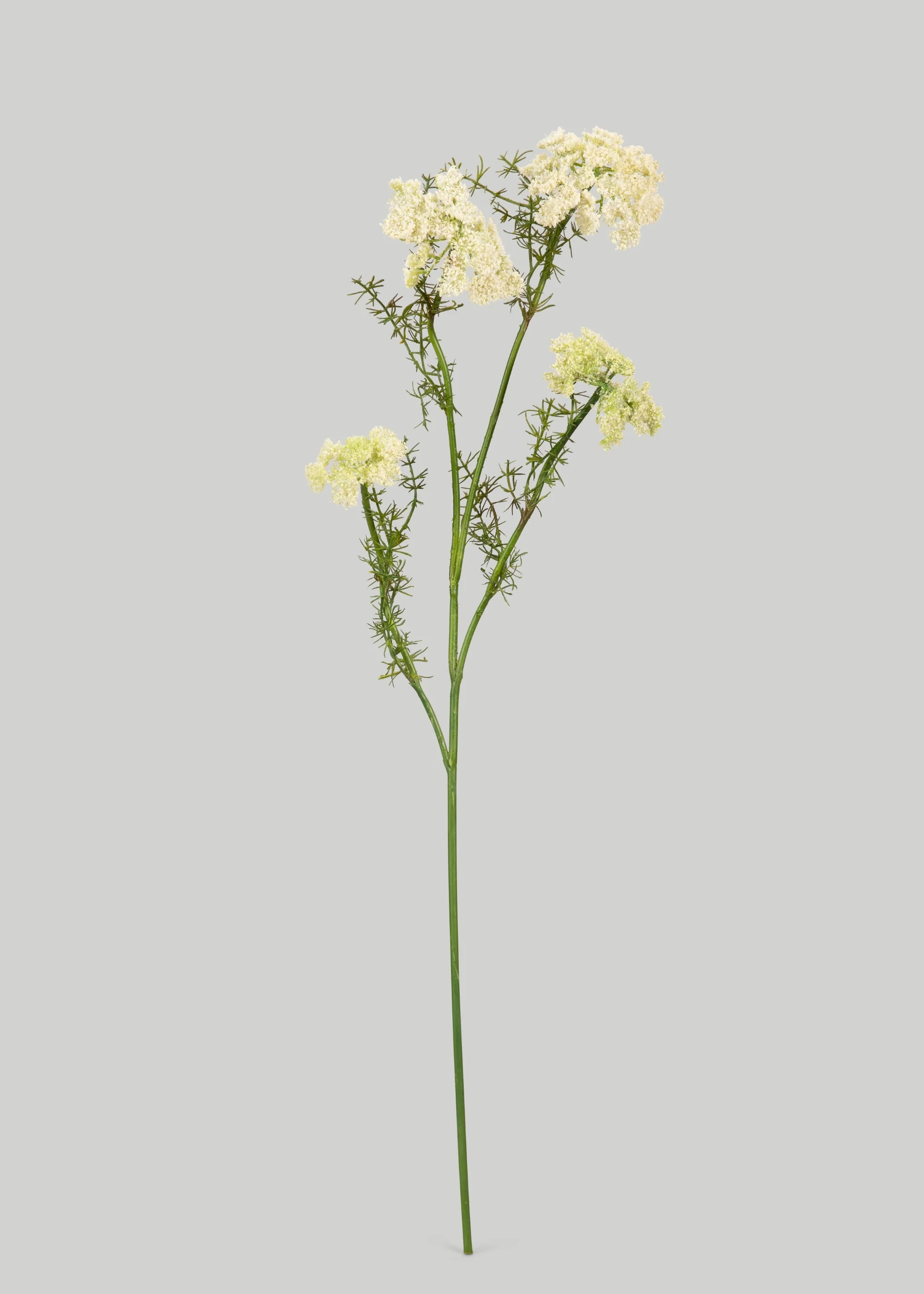 Artificial Dill Branch in White | Faux Wildflowers at Afloral.com | Afloral