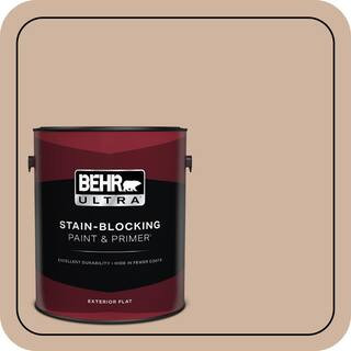 1 gal. #BNC-01 Bauhaus Buff Flat Exterior Paint & Primer | The Home Depot