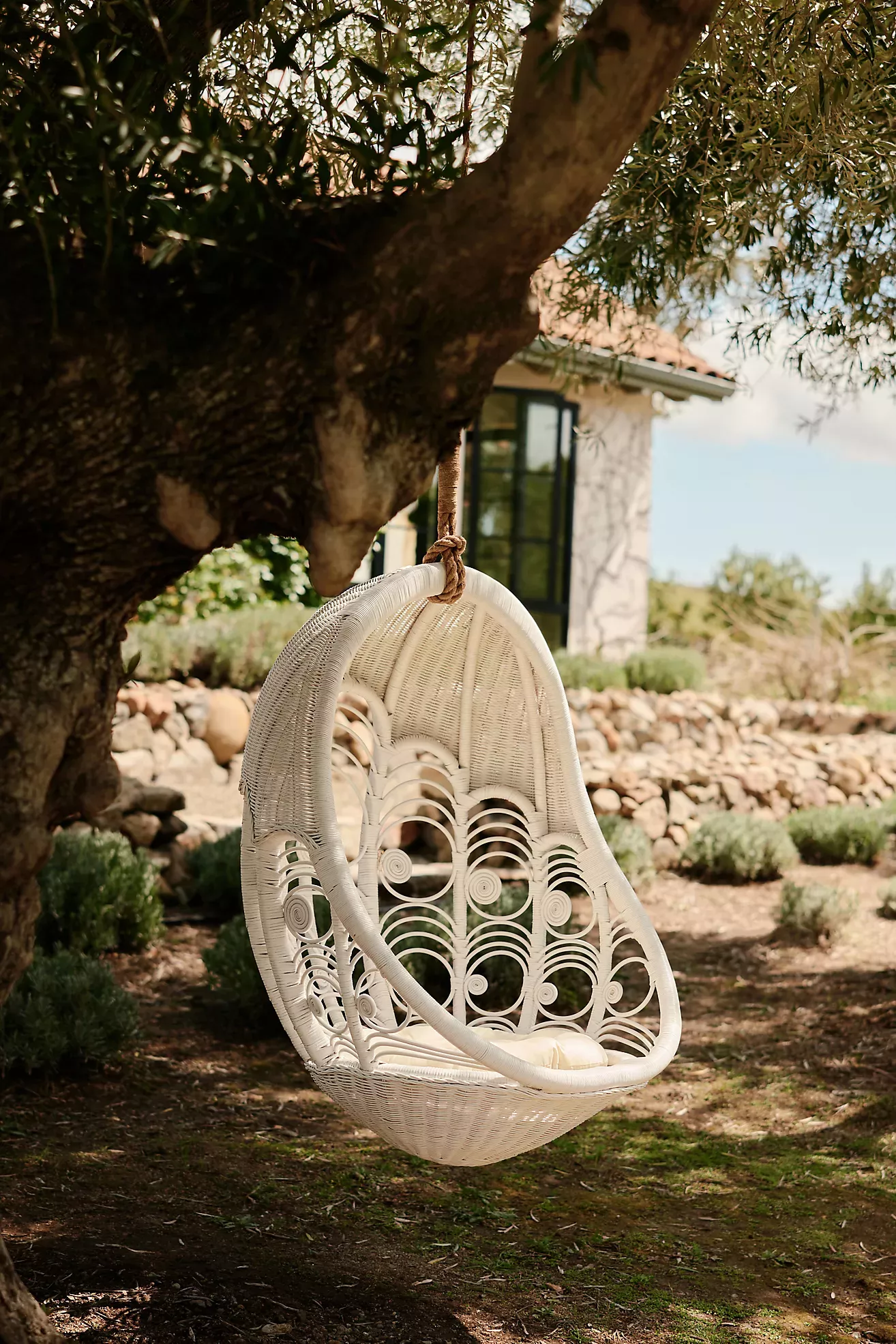 Peacock swing online chair