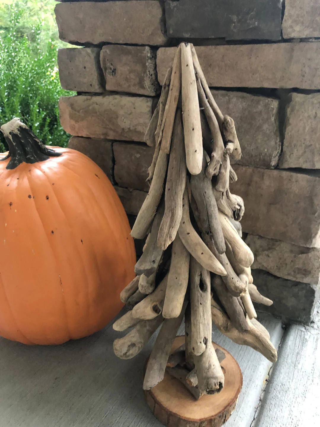 Driftwood Tree, Beach Driftwood, Home and Garden Decor - Etsy | Etsy (US)