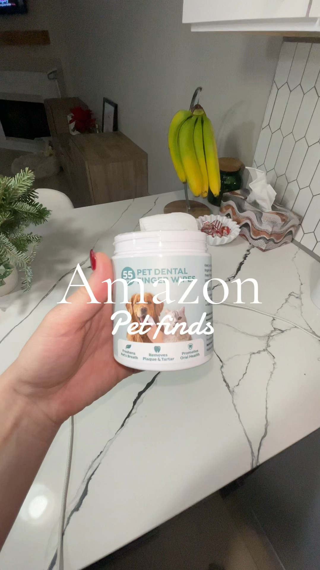 Amazon pet dental wipes!

#LTKGiftGuide #LTKFindsUnder50