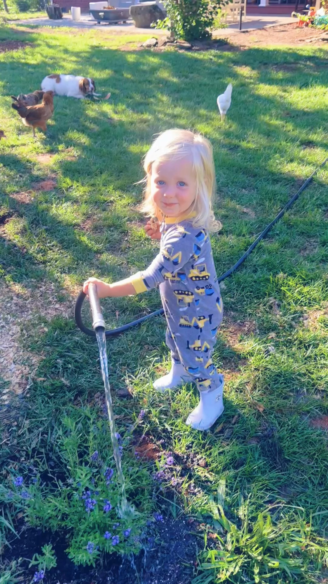 A watering 💦 the garden 🪴, chicken 🐓 tending 🧺, blueberry 🫐 pickin’ 😍, and country backyard 🌾 kind of morning in our jammies 🥰 around here 👶🏼🫶🏽