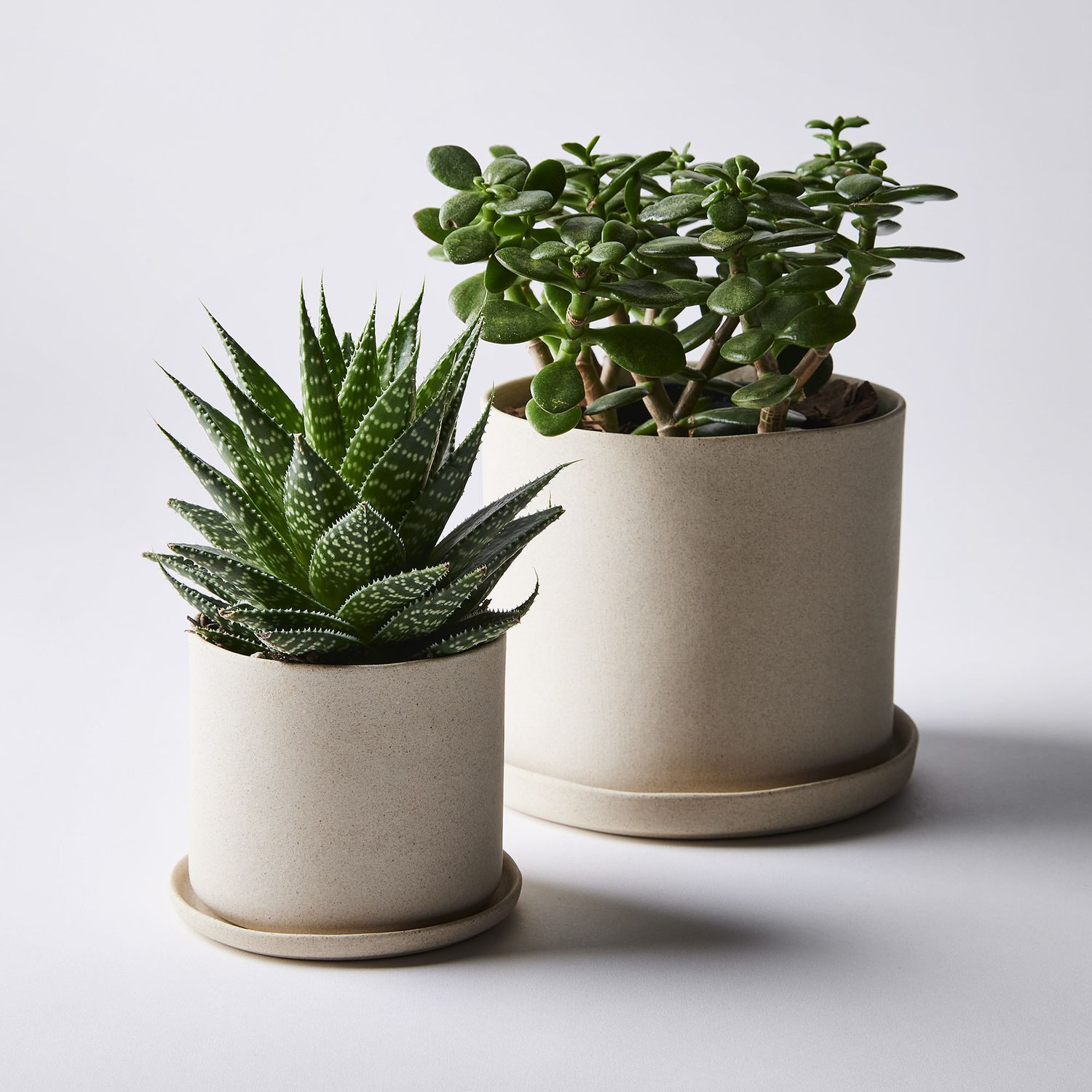 Convivial Minimal Stoneware Planters | Food52