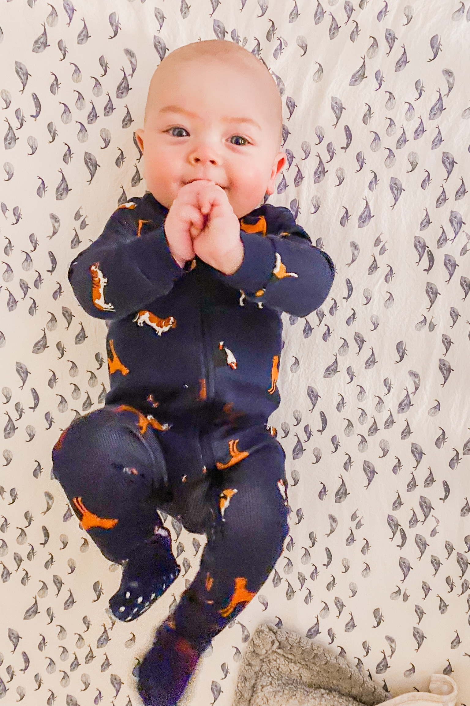 Bow wow. We love our Janie & Jack pajamas! They have the cutest prints and are such nice quality. They do fit tight so definitely read the sizing guidelines, and they get softer with each wash!
Linked some of my favorite finds that are all on sale!

#LTKFind #LTKSale #LTKbaby