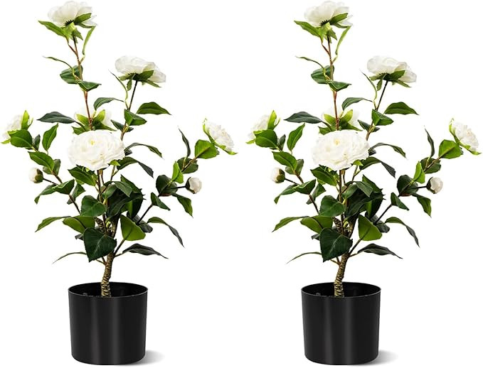2FT Artificial Camellia Tree 2 Pack, Artificial Plants Outdoor Faux Floral Plant in Cement Pot Fa... | Amazon (US)