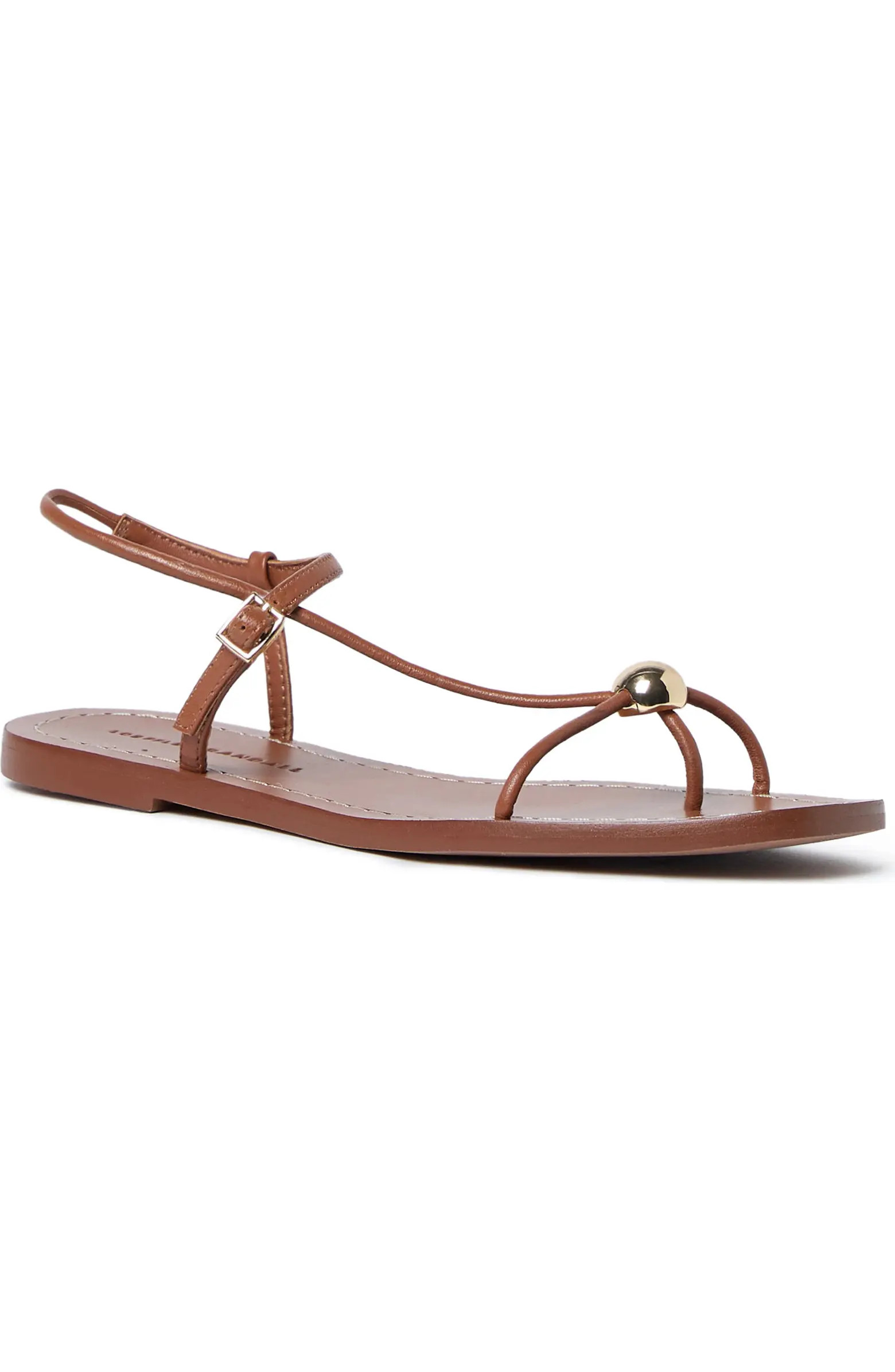 Loeffler Randall Lara Ankle Strap Sandal (Women) | Nordstrom | Nordstrom