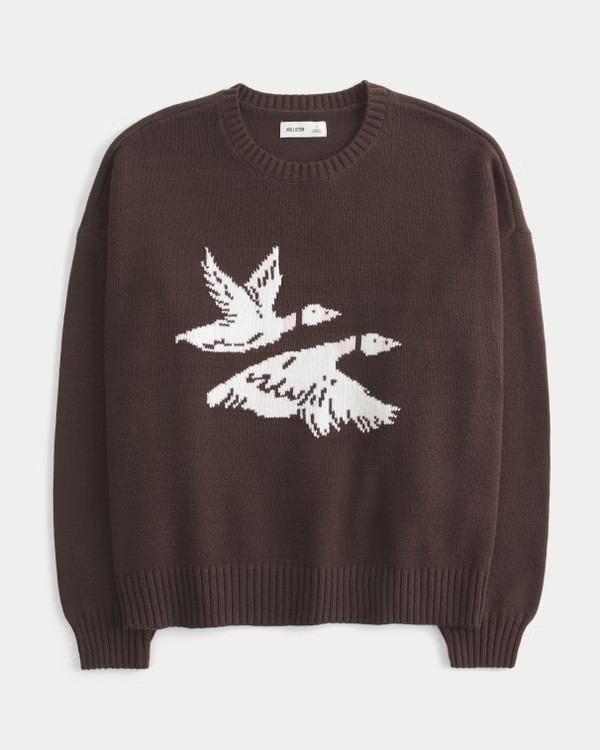 Easy Flying Birds Graphic Crew Sweater | Hollister (US)