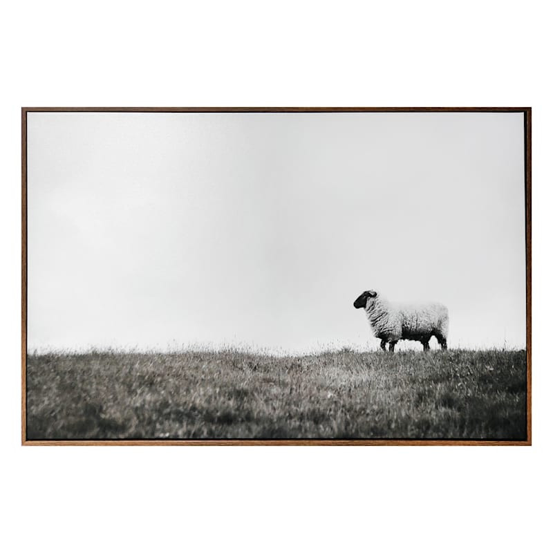 Framed Sheep Canvas Wall Art, 36x24 | At Home