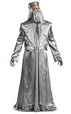 Amazon.com: Disguise mens Dumbledore Costume, Official Harry Potter Wizarding World Robe and Hat ... | Amazon (US)