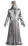 Amazon.com: Disguise mens Dumbledore Costume, Official Harry Potter Wizarding World Robe and Hat ... | Amazon (US)