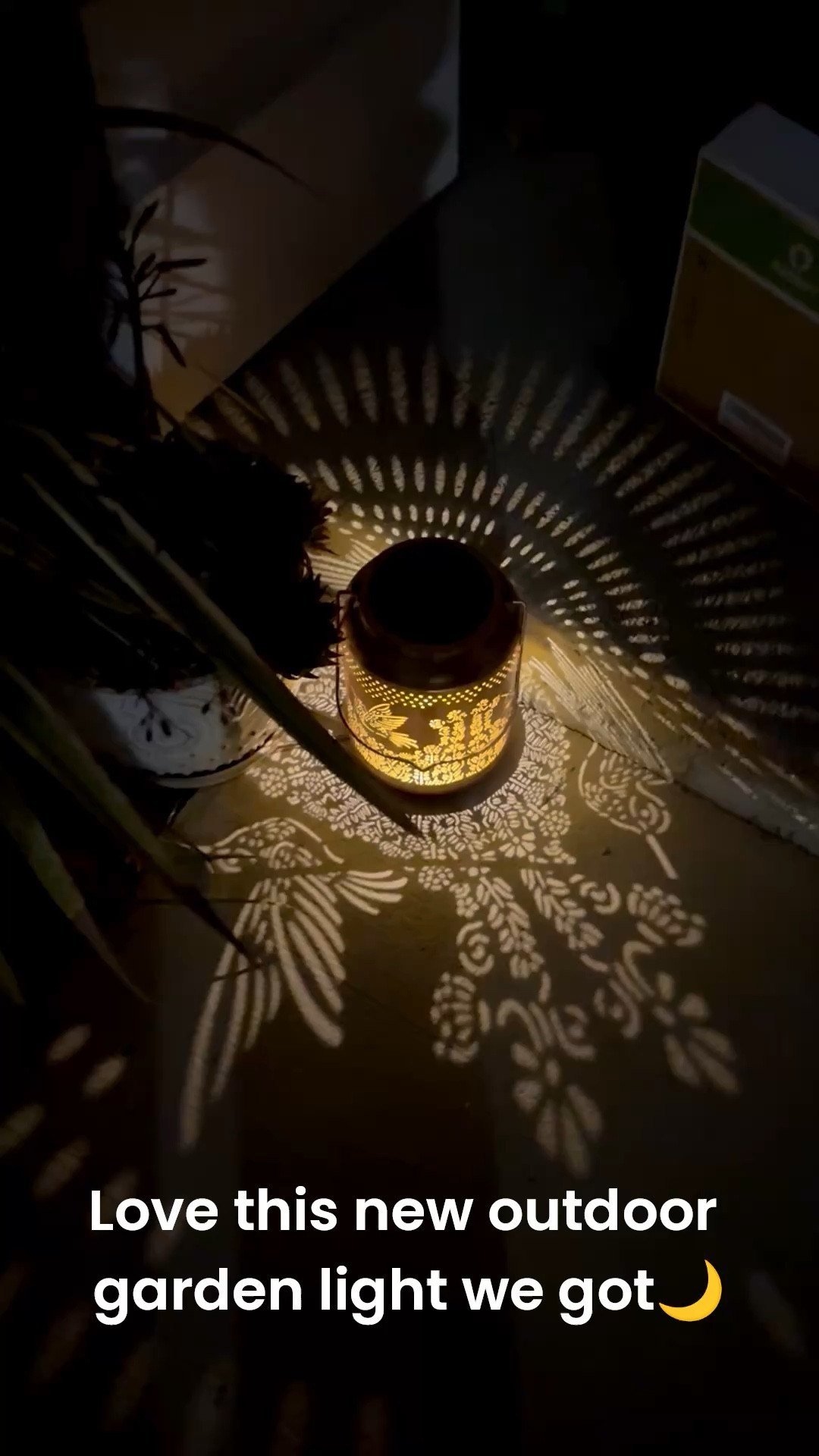 Absolutely love this outdoor lighting option, I have like a garden/doorway moment. And it light it up at night beautifully thanks to solar power, love it! Highly recommend. ￼

#LTKHome #LTKvlog #LTKSeasonal