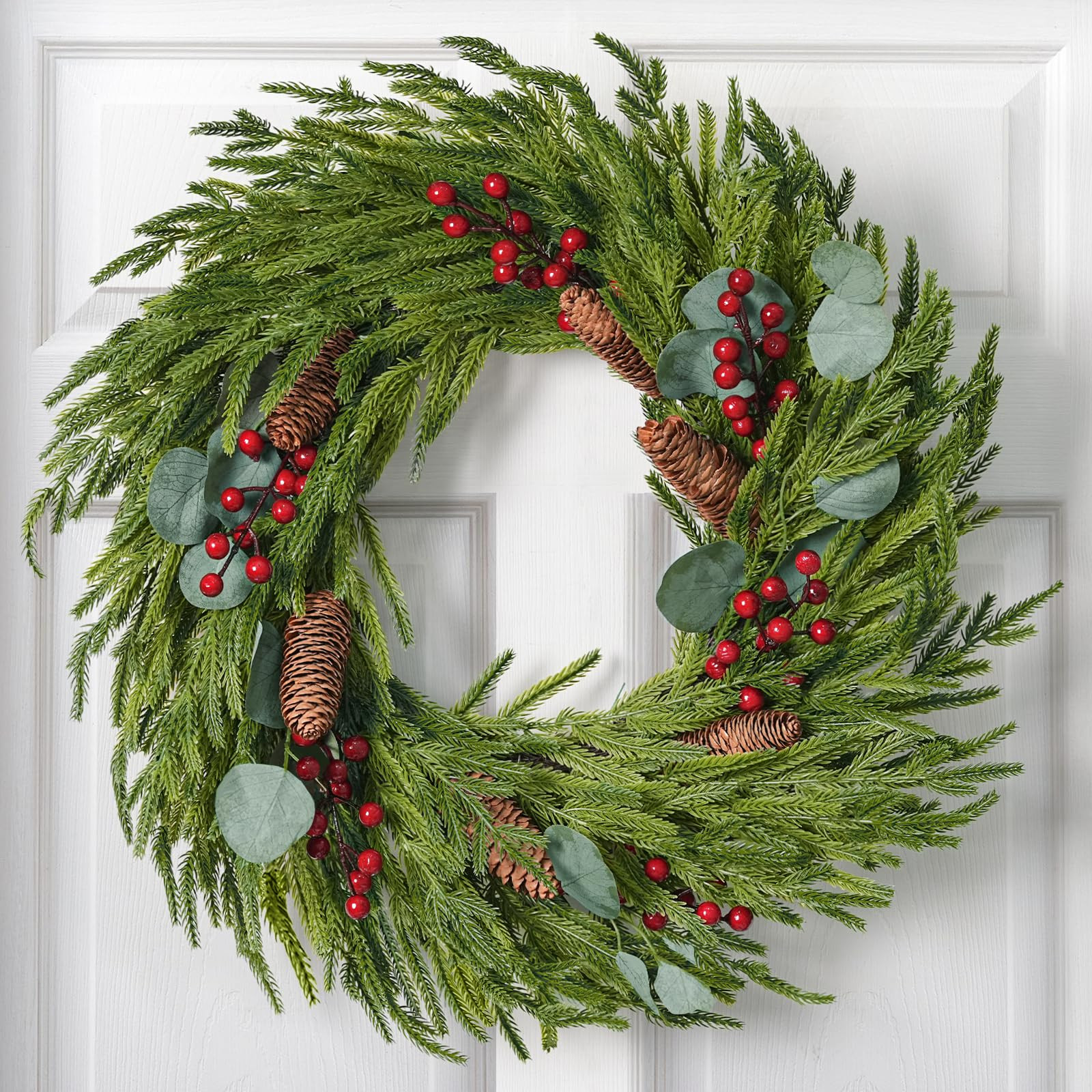 Christmas Decorations - 22 Inch Artificial Norfolk Pine Christmas Wreath with Pine Cones, Eucalyp... | Amazon (US)