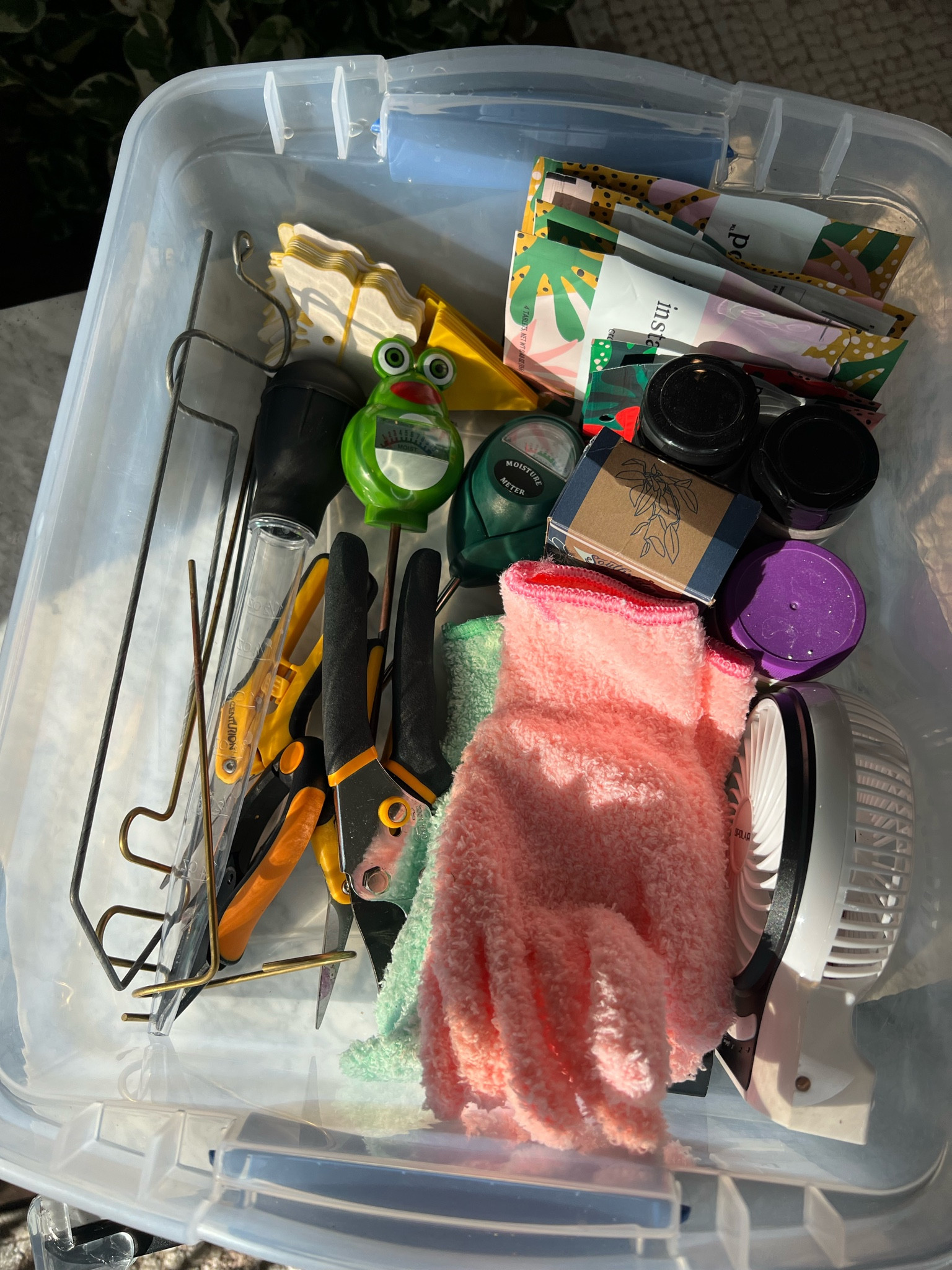 What’s in my plant toolbox?