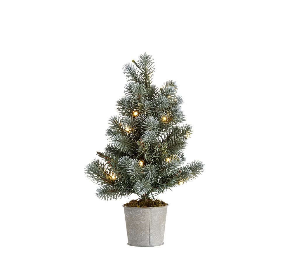 Pre-Lit Potted Faux Blue Spruce Trees | Pottery Barn (US)