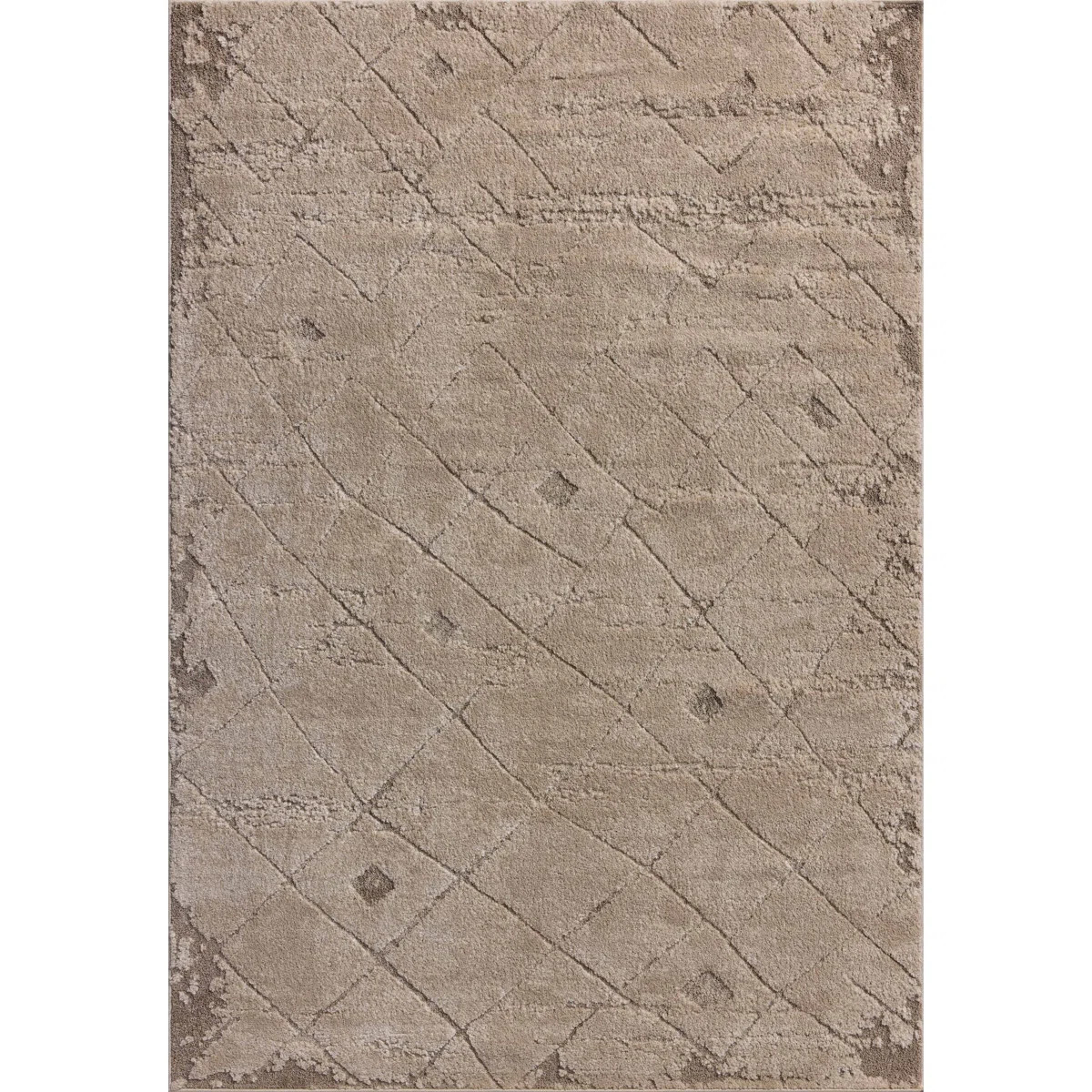 Amber Lewis x Loloi Monty  Beige / Natural Area Rug | Wayfair North America