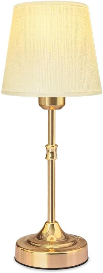 Portable LED Metal Table Lamp -Fabric Shade Desk Lamp, 3-Color LED Desk Lamp for Bedroom Nightsta... | Amazon (US)