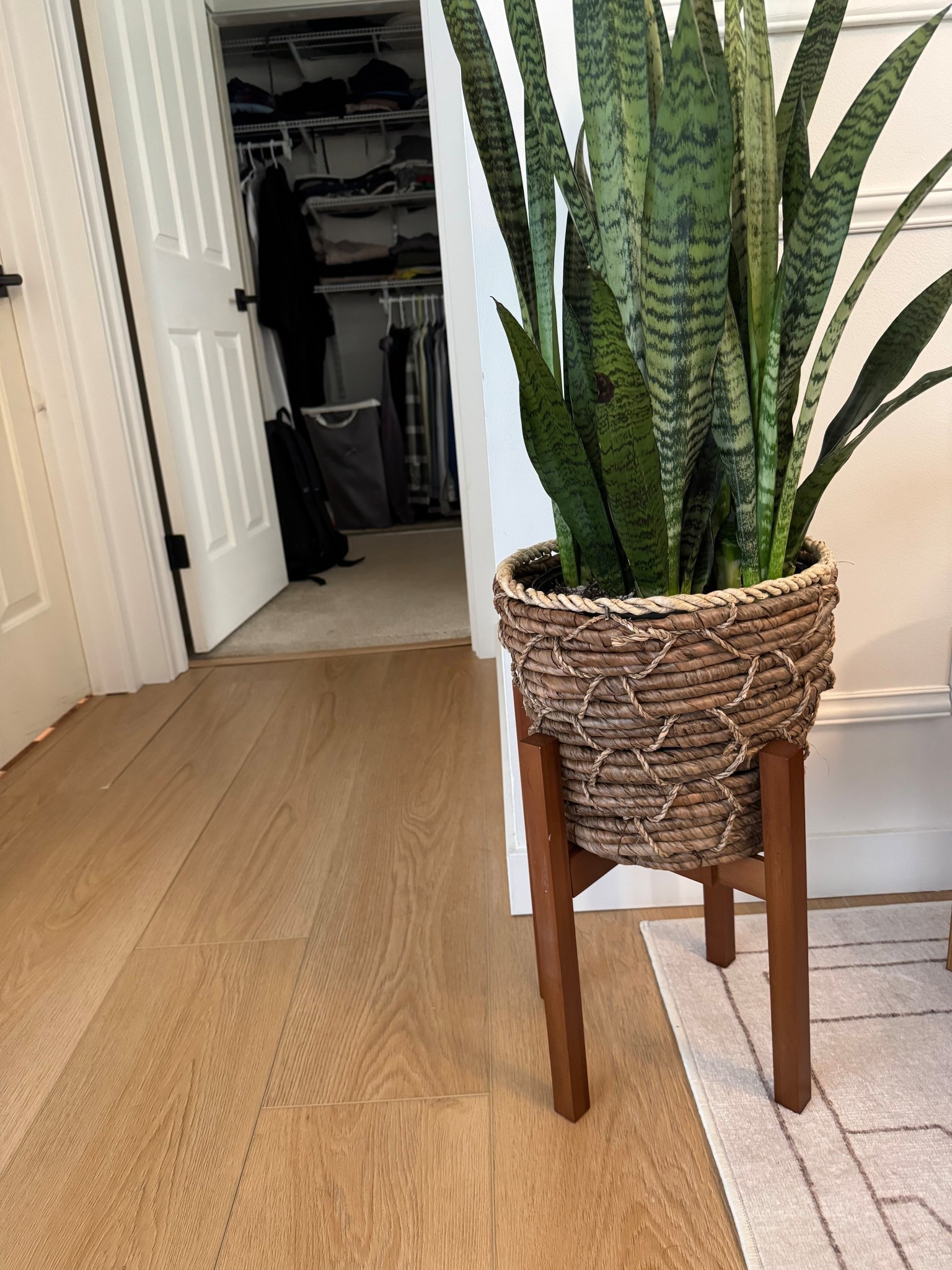 I’m a sucker for a plant stand 🤷🏻‍♀️ but not the $60 ones, the cheap amazon ones cause they work!! 

#LTKWatchNow #LTKHome #LTKU