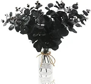 Hananona 6 Pcs Artificial Black Eucalyptus Stems, 14" Eucalyptus Leaves Branches Bouquet for Flow... | Amazon (US)
