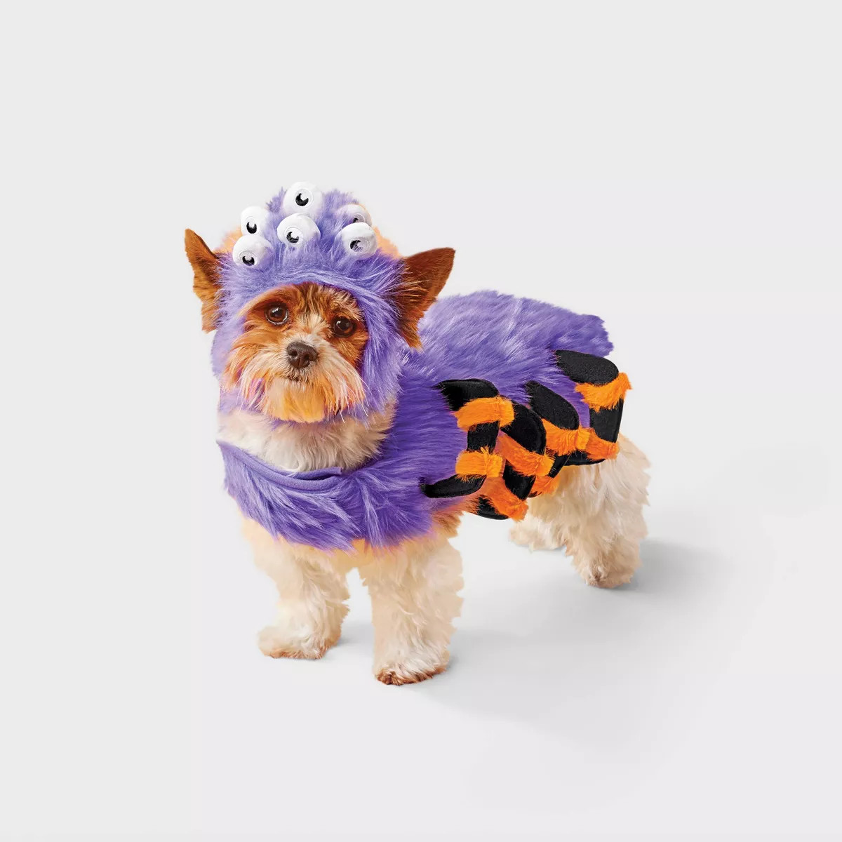 Spider Costume Dog and Cat Full Body Costumes - Boots & Barkley™ Purple | Target