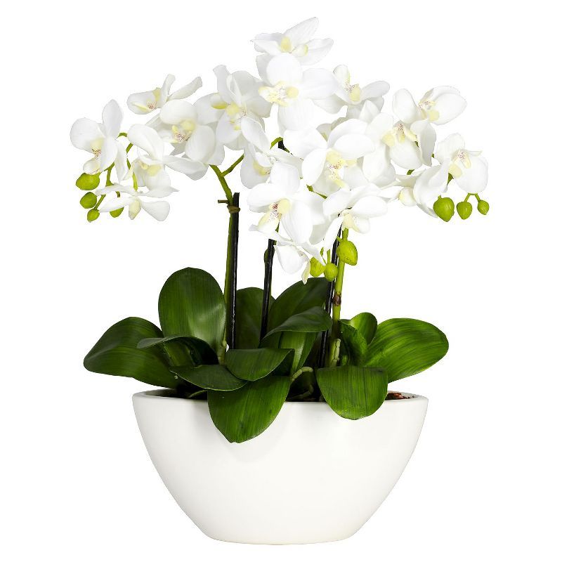 Nearly Natural Phalaenopsis Silk Flower Arrangement | Target
