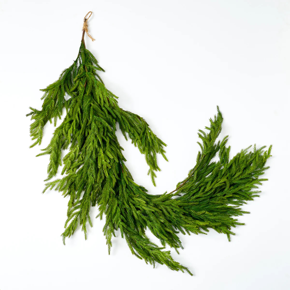 Draping Real Touch Norfolk Pine Garland Cascading Winter Greenery Christmas Decor | Darby Creek Trading