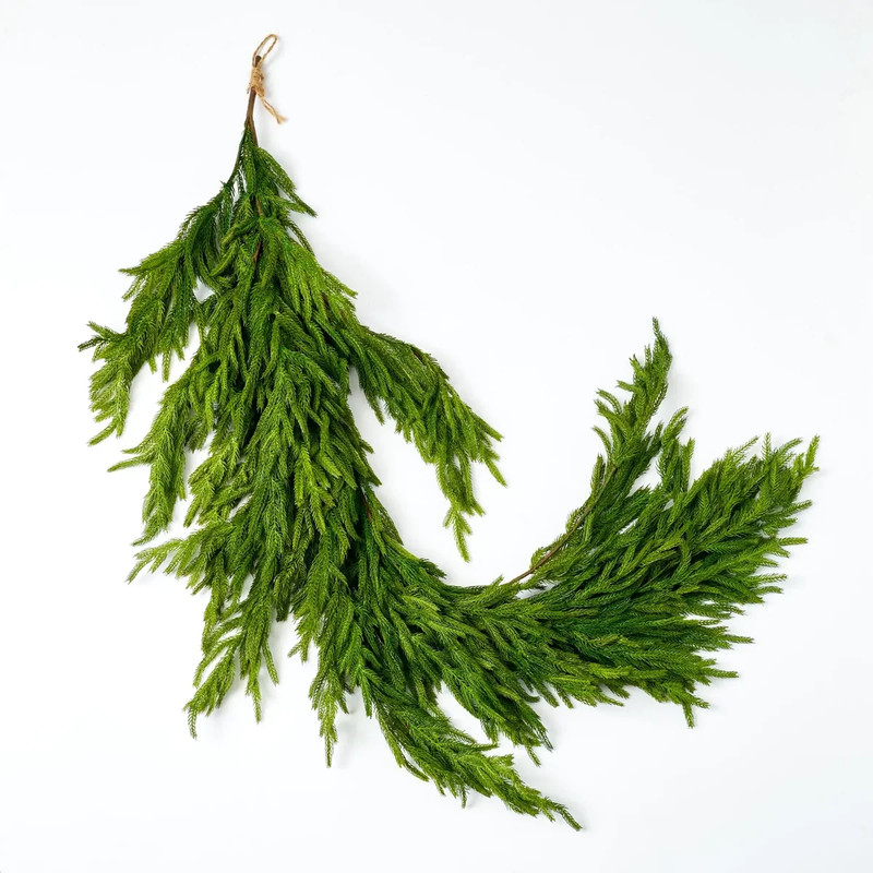 Draping Norfolk Pine Garland